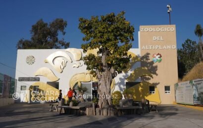 Zoológico del Altiplano amplía horario en vacaciones Zoológico del Altiplano amplía horario en vacaciones