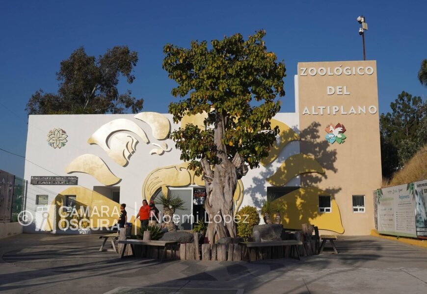 Zoológico del Altiplano amplía horario en vacaciones Zoológico del Altiplano amplía horario en vacaciones