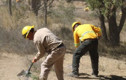 Protección Civil refuerza llamado preventivo ante riesgo de incendio