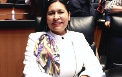 Sheinbaum necesita mayor respaldo para enfrentar retos del país, señala Ana Lilia Rivera Sheinbaum necesita mayor respaldo para enfrentar retos del país, señala Ana Lilia Rivera