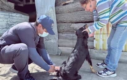 Servicios veterinarios en Tlaxcala superan 4 mil atenciones en el primer bimestre de 2026