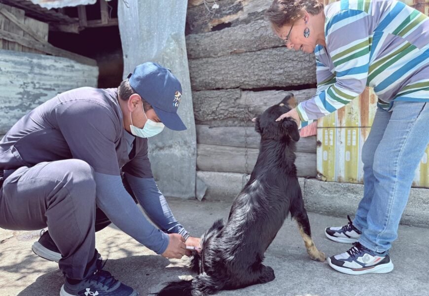 Servicios veterinarios en Tlaxcala superan 4 mil atenciones en el primer bimestre de 2026