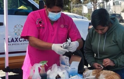 Jornada de Bienestar Animal llega a Cuauhtelulpan