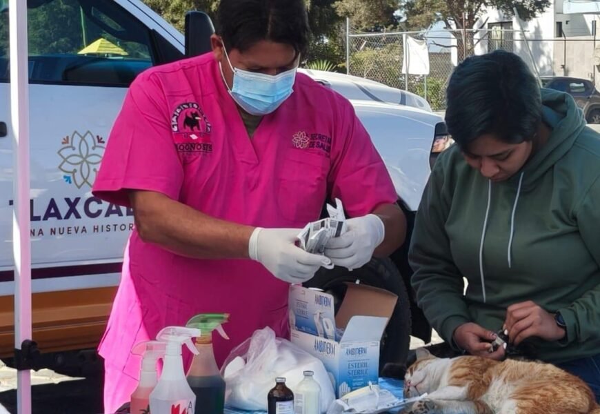 Jornada de Bienestar Animal llega a Cuauhtelulpan