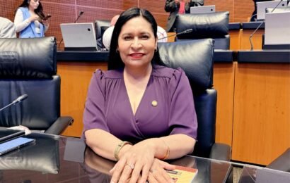 Ana Lilia Rivera impulsa participación ciudadana con conciencia en Tlaxcala Ana Lilia Rivera impulsa participación ciudadana con conciencia en Tlaxcala