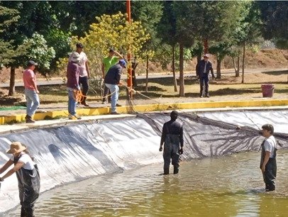 Innovación acuícola en Tlaxcala fortalece ciencia aplicada en cultivo de tilapia
