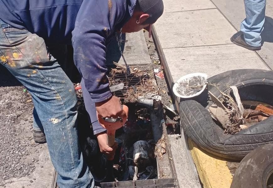 Con trabajo en territorio, gobierno fortalece cercanía social