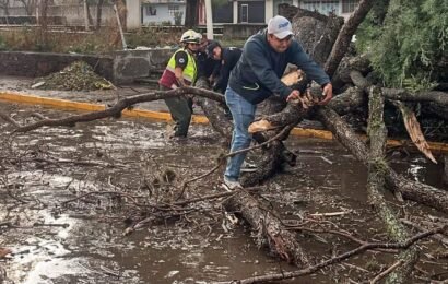 Lluvia en Tlaxcala mantiene control y activa brigadas municipales Lluvia en Tlaxcala mantiene control y activa brigadas municipales