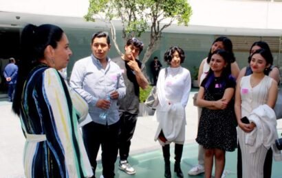 Salud mental de los jóvenes exige acciones urgentes en México: Ana Lilia Rivera