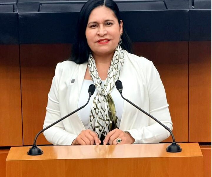 Ana Lilia Rivera advierte violación constitucional en Chihuahua