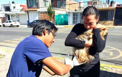 Vacunación antirrábica en Tlaxcala recorrerá comunidades durante mayo