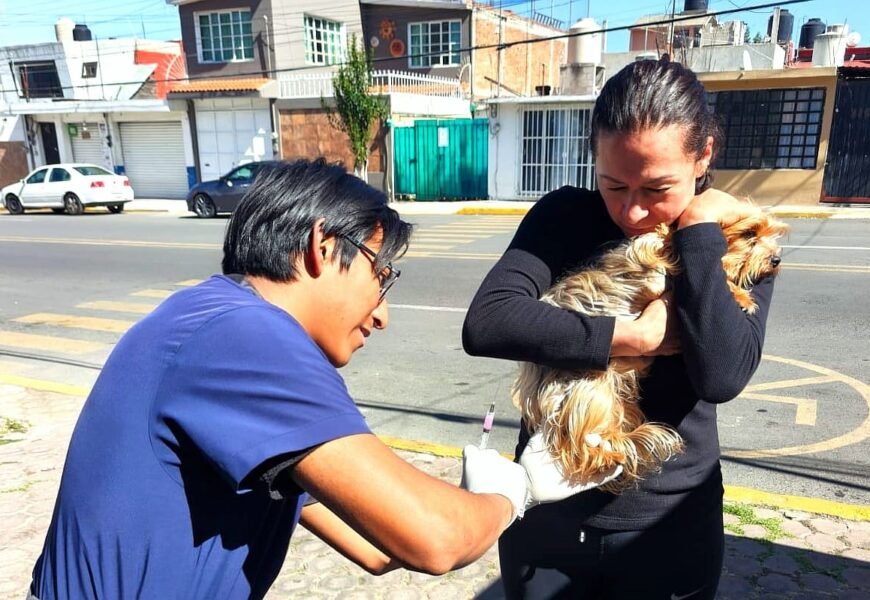 Vacunación antirrábica en Tlaxcala recorrerá comunidades durante mayo