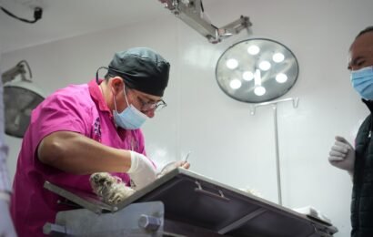 Esterilización animal gratis en Tlaxcala impulsa salud pública