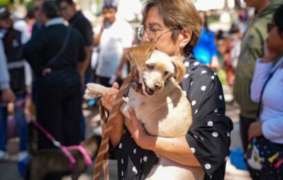 Jornadas gratuitas de esterilización seguirán en comunidades de Tlaxcala Jornadas gratuitas de esterilización seguirán en comunidades de Tlaxcala
