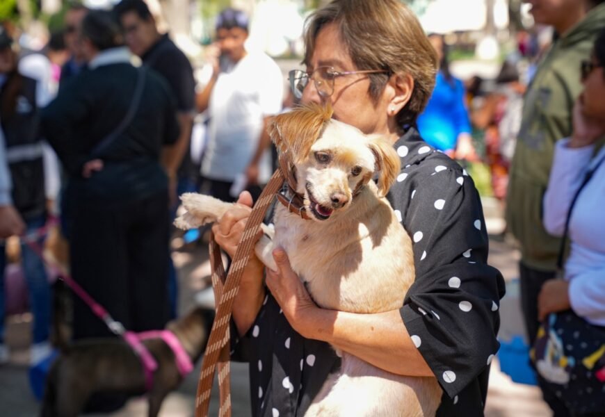Jornadas gratuitas de esterilización seguirán en comunidades de Tlaxcala Jornadas gratuitas de esterilización seguirán en comunidades de Tlaxcala