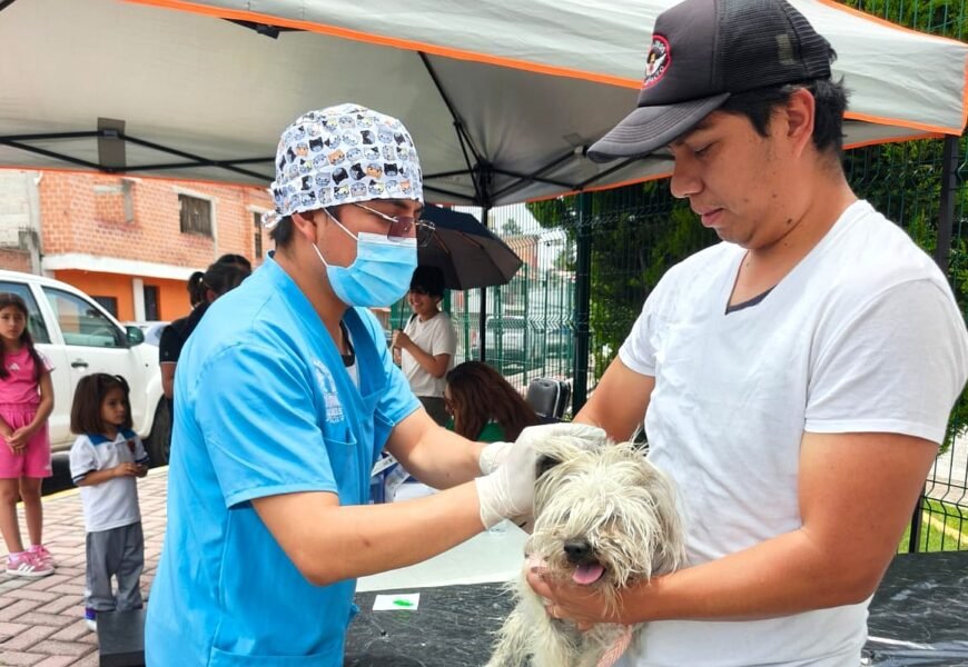 Bienestar animal fortalece atención gratuita para mascotas en Tlaxcala
