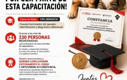 Capacitación sobre gusano barrenador del OCPA reúne a 230 participantes