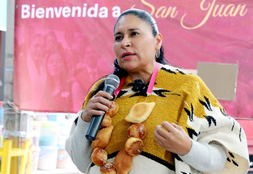 Fortalecer la conciencia ciudadana es primordial para proteger la democracia: Ana Lilia Rivera