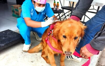 Concluye campaña de esterilización con amplia participación ciudadana