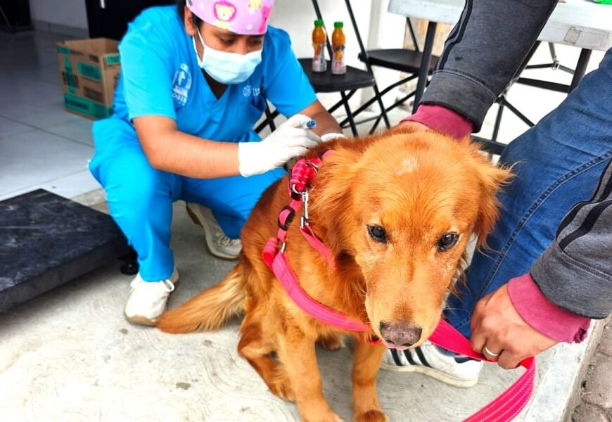 Concluye campaña de esterilización con amplia participación ciudadana
