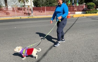 Muévete Tlaxcala fortalece la convivencia y promueve hábitos saludables cada domingo