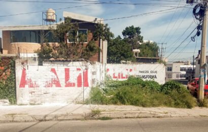 Vandalismo contra bardas de apoyo a Ana Lilia Rivera Vandalismo contra bardas de apoyo a Ana Lilia Rivera