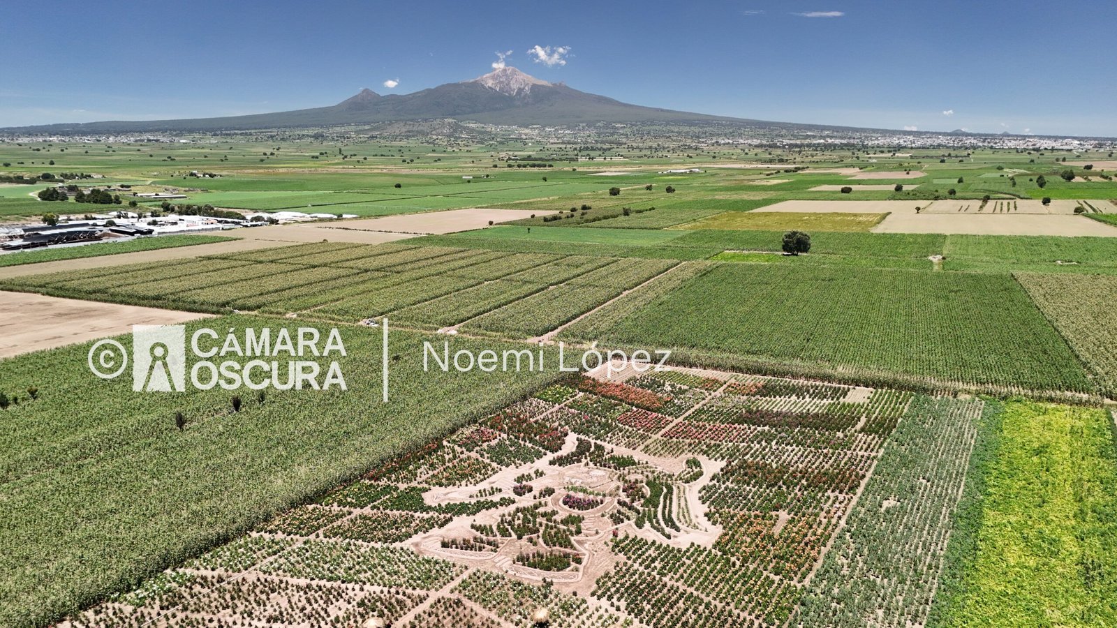 Jardín de Dalias «Caridad» florece con tradición, innovación y turismo en Huamantla