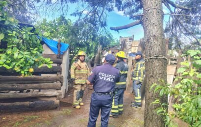 Árbol en riesgo es retirado en Tlaxcala