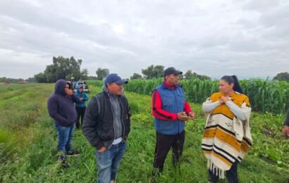 Campo tlaxcalteca impulsa llamado a fortalecer la producción