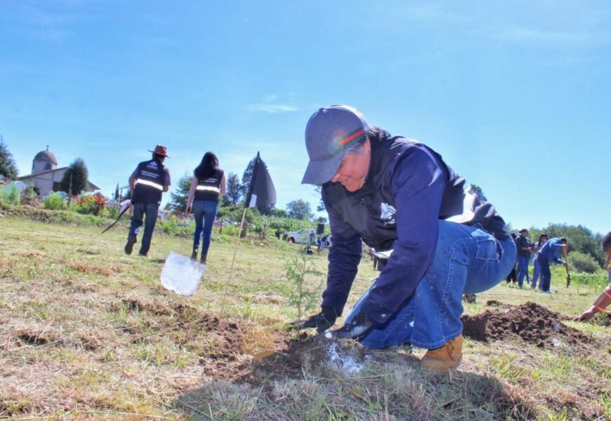 Macrofaena de reforestación en Cuauhtelulpan fortalece áreas verdes