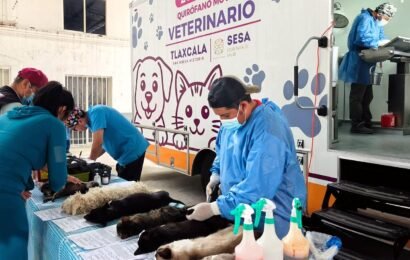 Campaña gratuita de esterilización fortalece el bienestar animal Campaña gratuita de esterilización fortalece el bienestar animal