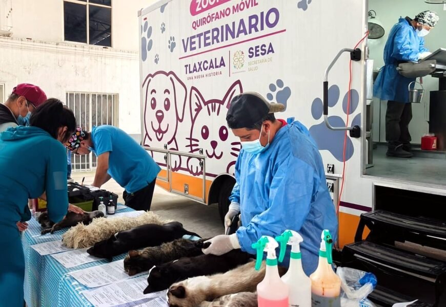 Campaña gratuita de esterilización fortalece el bienestar animal