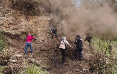 Profepa inhabilita horno de carbón en La Malinche, en la zona boscosa de Teolocholco