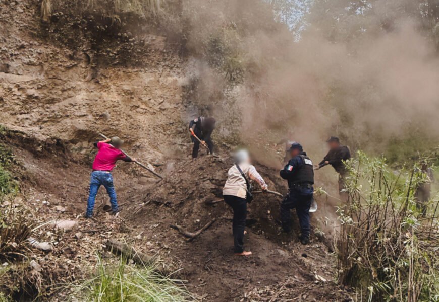 Profepa inhabilita horno de carbón en La Malinche, en la zona boscosa de Teolocholco