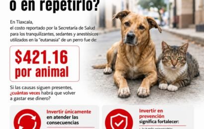 OCPA presenta análisis sobre el costo reportado para la “eutanasia” de perros, abre debate sobre prevención OCPA presenta análisis sobre el costo reportado para la “eutanasia” de perros, abre debate sobre prevención