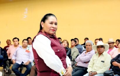 Ana Lilia Rivera denuncia campaña de desinformación tras la aparición de bardas Ana Lilia Rivera denuncia campaña de desinformación tras la aparición de bardas