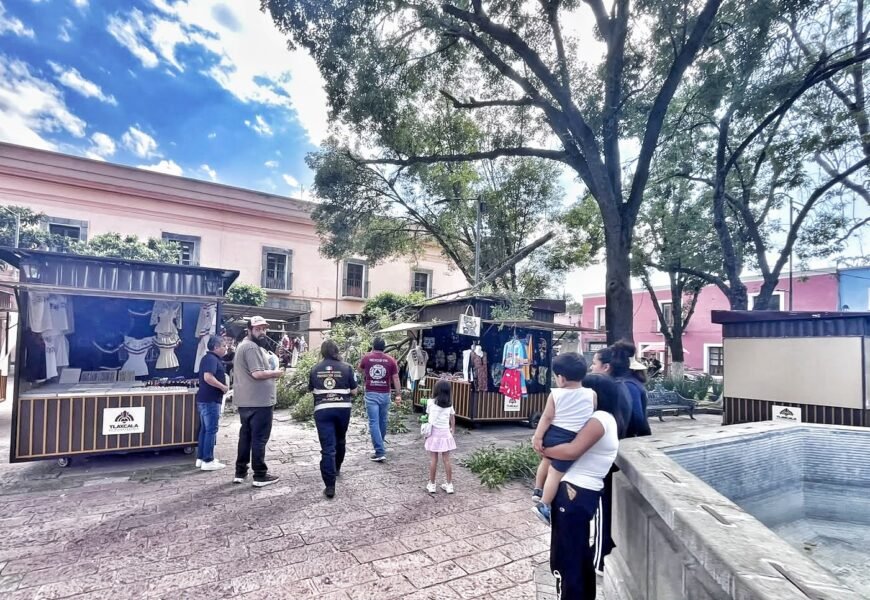 Protección Civil Municipal atendió la caída de una rama en el parque Xicohténcatl