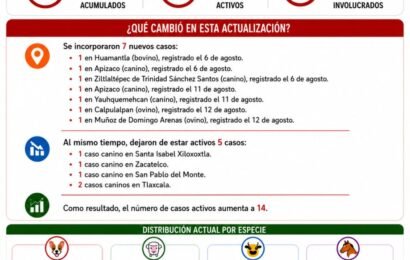 Gusano Barrenador suma 51 casos en Tlaxcala: OCPA