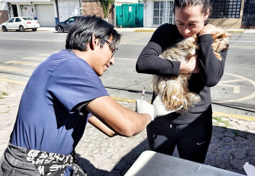 Servicios de Salud animal llegará a Cuauhtla y Tizatlán
