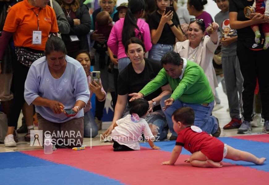 Convocan a participar en el tercer concurso de gateo en la Feria Tlaxcala 2026