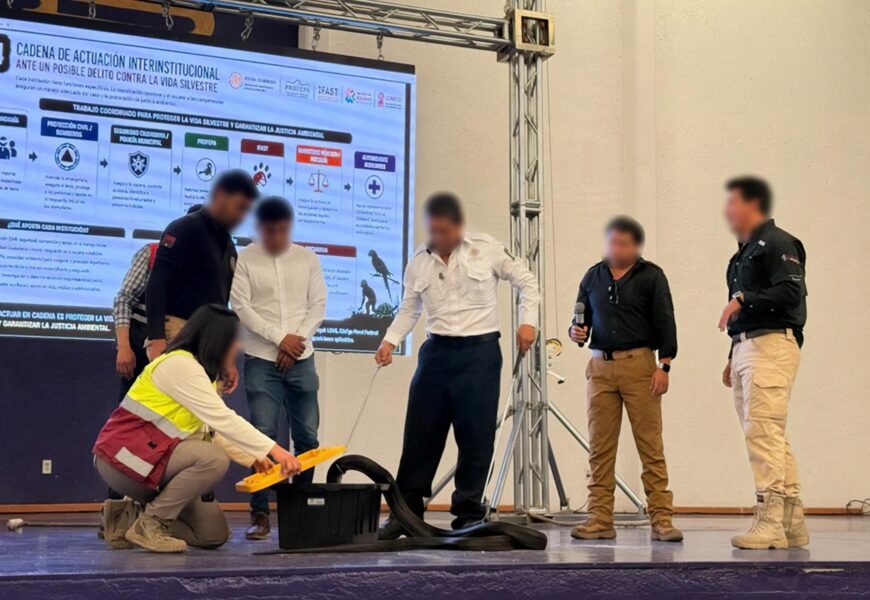 Capacitan a funcionarios de Tlaxcala sobre manejo de fauna silvestre