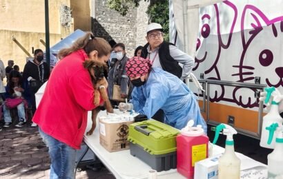 Bienestar animal llega este viernes a Atempan
