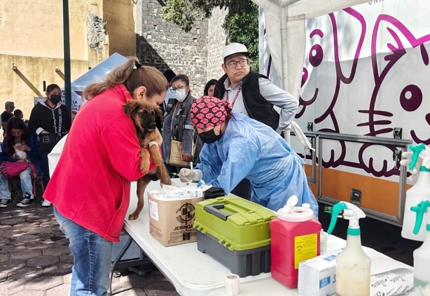 Bienestar animal llega este viernes a Atempan Bienestar animal llega este viernes a Atempan
