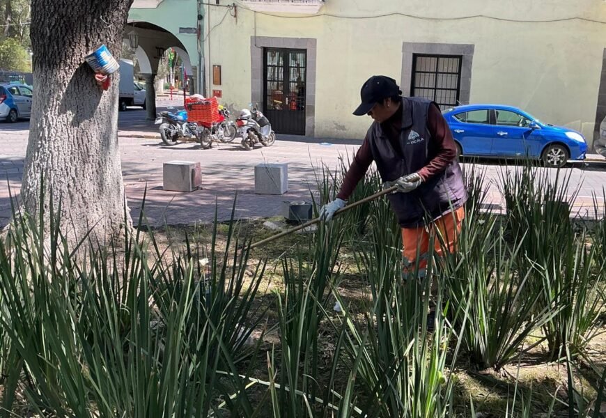 Mantenimiento de áreas verdes continúa en la Plaza Xicohténcatl Mantenimiento de áreas verdes continúa en la Plaza Xicohténcatl