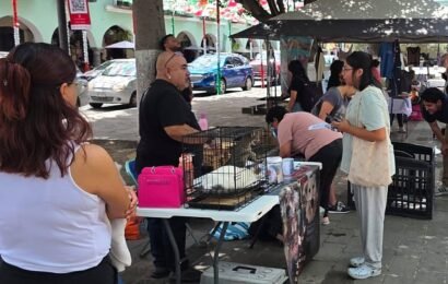 Jornada de Adopción de Tlaxcala suma 12 hogares