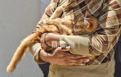 México suma cuatro observatorios animales, la iniciativa comenzó en Tlaxcala México suma cuatro observatorios animales, la iniciativa comenzó en Tlaxcala