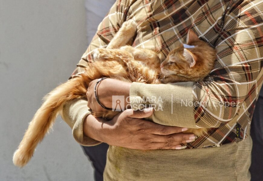 México suma cuatro observatorios animales, la iniciativa comenzó en Tlaxcala