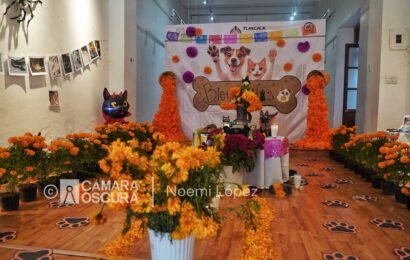 Ofrenda a mascotas en Tlaxcala honra su memoria