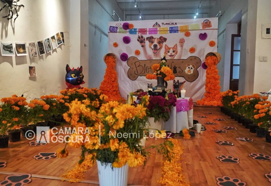 Ofrenda a mascotas en Tlaxcala honra su memoria