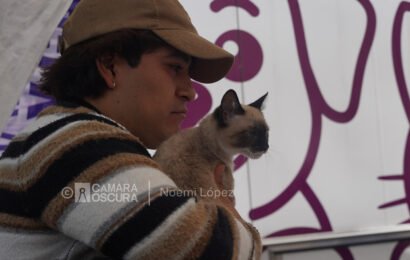 Jornada de esterilización animal en Tlaxcala forma parte de la Caravana de Salud